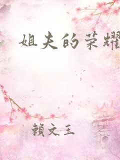 姐夫的荣耀全集