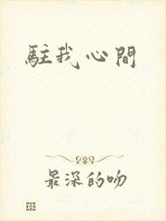 驻我心间