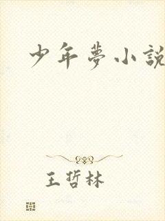 少年梦小说