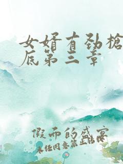 女婿有劲枪枪到底第三章