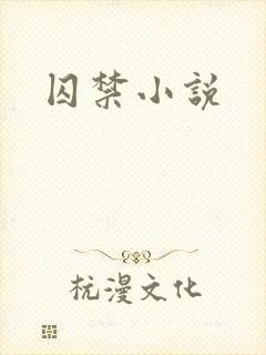 囚禁小说