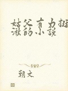 姑父有力挺送徐湫的小说