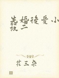 先婚后爱小说梦筱二