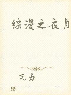 综漫之夜月