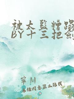 被太监糟蹋之后BY十三把剑