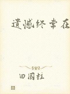 遗憾终常在小说