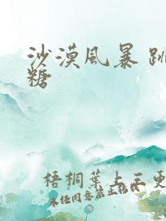 沙漠风暴 跳跳糖