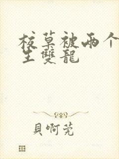 校草被两个体育生双龙