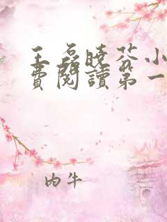 王磊晓芬小说免费阅读第一章