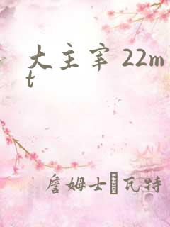 大主宰 22mt