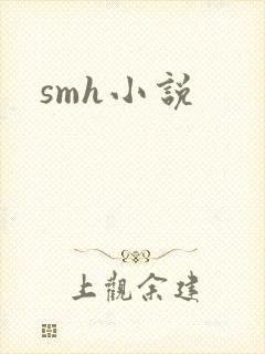 smh小说