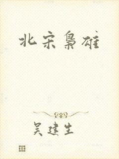 北宋枭雄