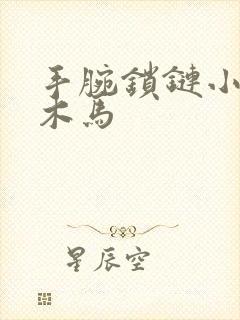 手腕锁链小黑屋木马