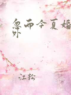 忽而今夏婚后番外