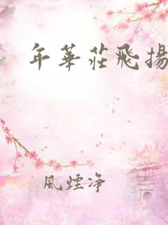 年华庄飞扬