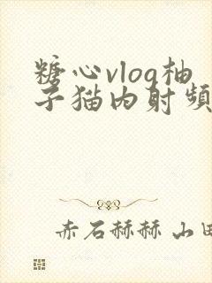 糖心vlog柚子猫内射频