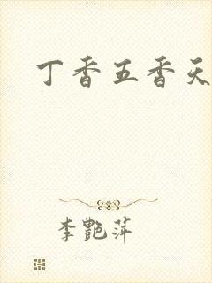 丁香五香天麻豆