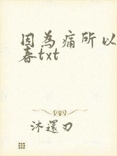 因为痛所以叫青春txt