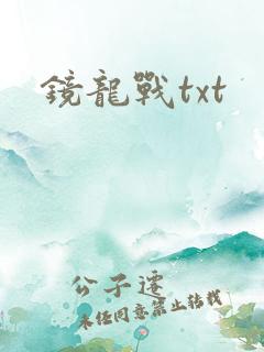 镜龙战txt
