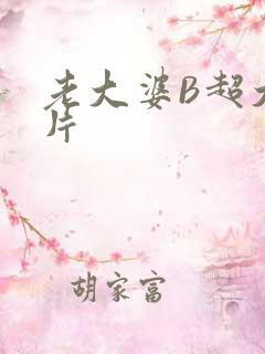 老大婆B超大图片