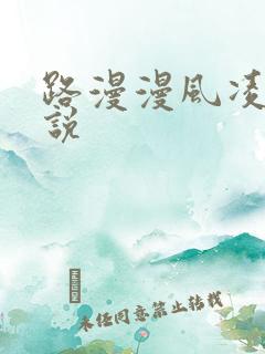 路漫漫风凌轩小说