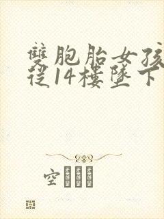 双胞胎女孩双双从14楼坠下