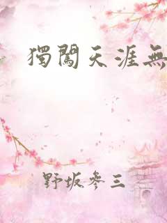 独闯天涯无弹窗