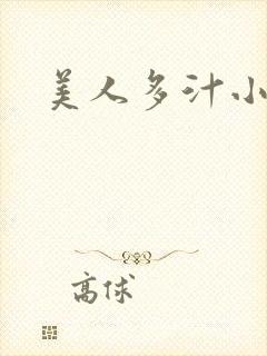 美人多汁小说
