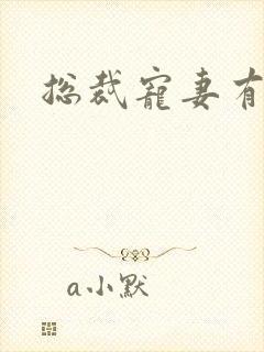 总裁宠妻有点忙