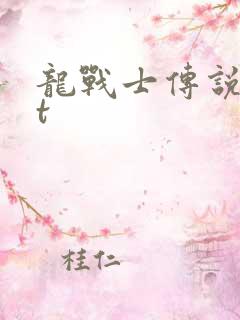 龙战士传说txt
