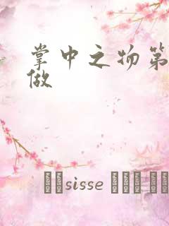 掌中之物第一次做