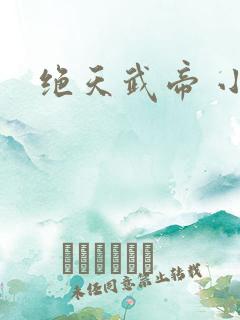 绝天武帝 小说