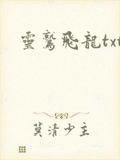 灵鹫飞龙txt