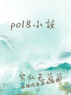 po18小说