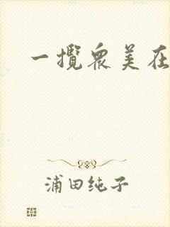 一揽众美在三国