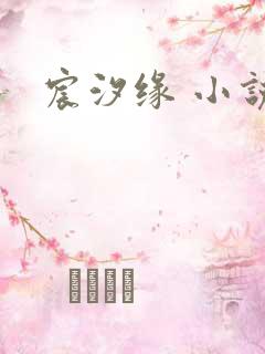 宸汐缘 小说