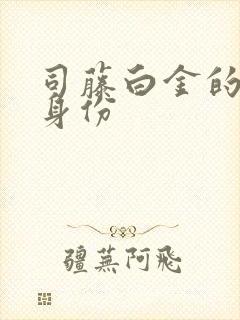 司藤白金的真实身份