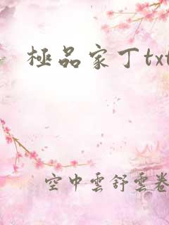 极品家丁txt