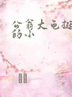 公翁大龟挺进我的小