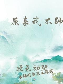 原来我不帅小说