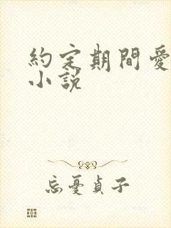 约定期间爱上你小说