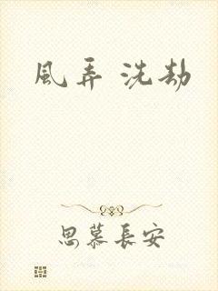 风弄 洗劫