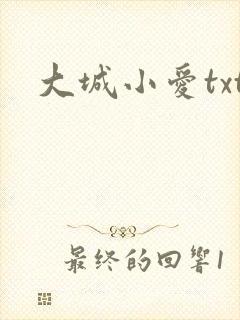 大城小爱txt
