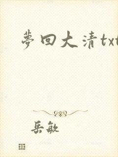 梦回大清txt