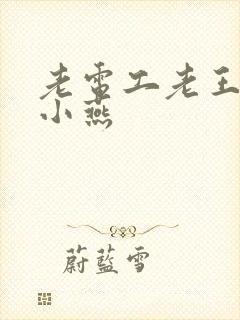 老电工老王和李小燕