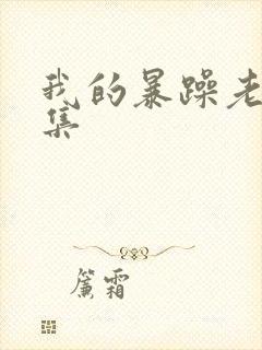 我的暴躁老妈全集