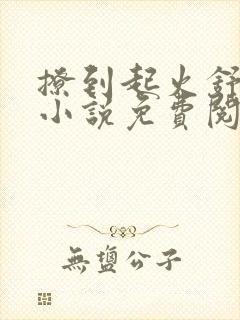 撩到起火舒漾的小说免费阅读全文