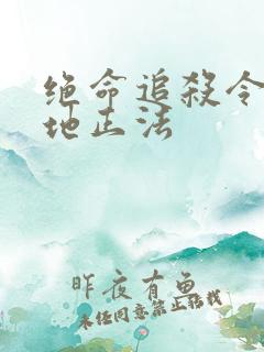 绝命追杀令2就地正法