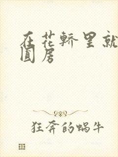 在花轿里就开始圆房