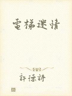 电梯迷情